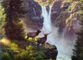 elk at waterfall